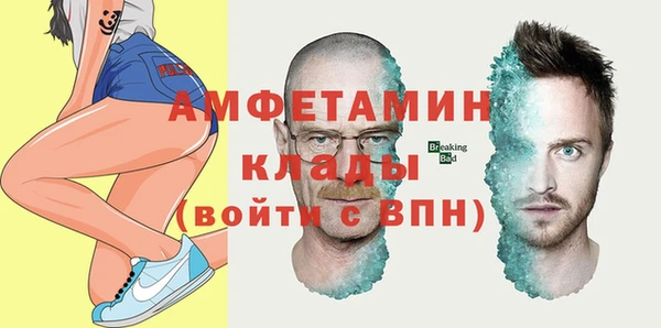 СК Алексин