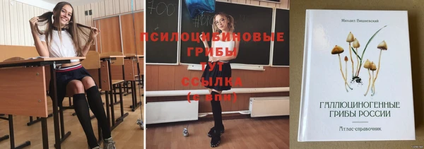 СК Алексин