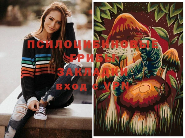 СК Алексин
