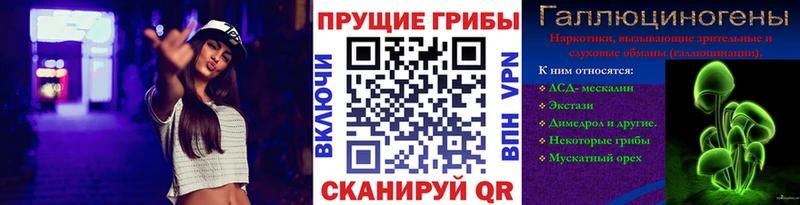 купить наркотики цена  Оса  Псилоцибиновые грибы MAGIC MUSHROOMS 